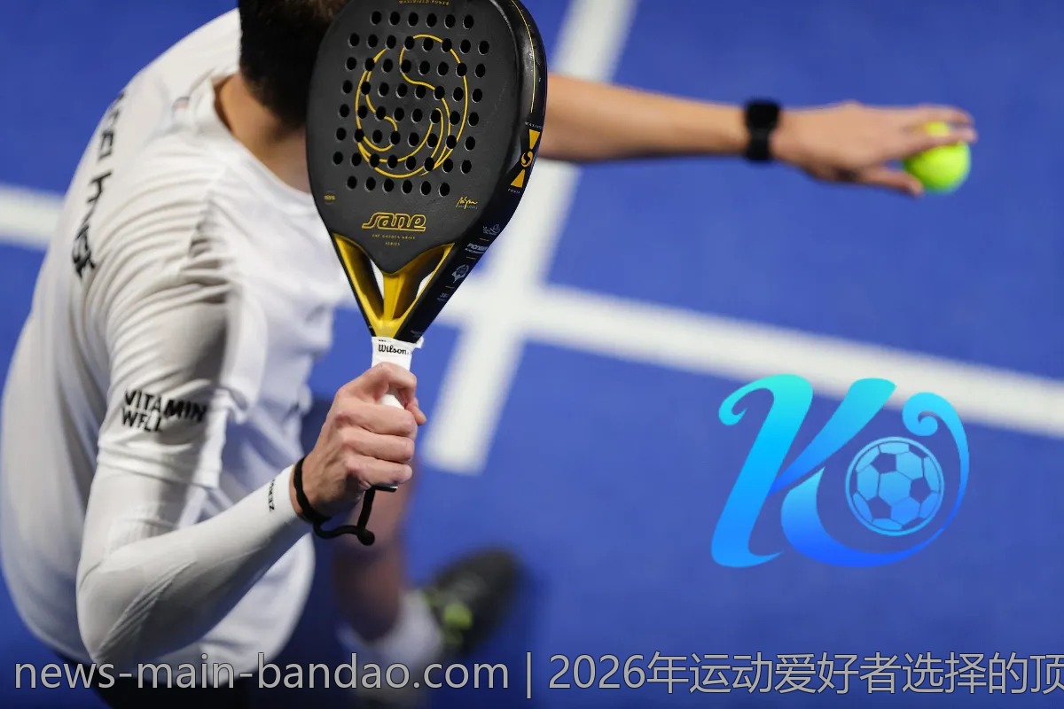 2026年运动爱好者选择的顶尖平台——半岛体育评测