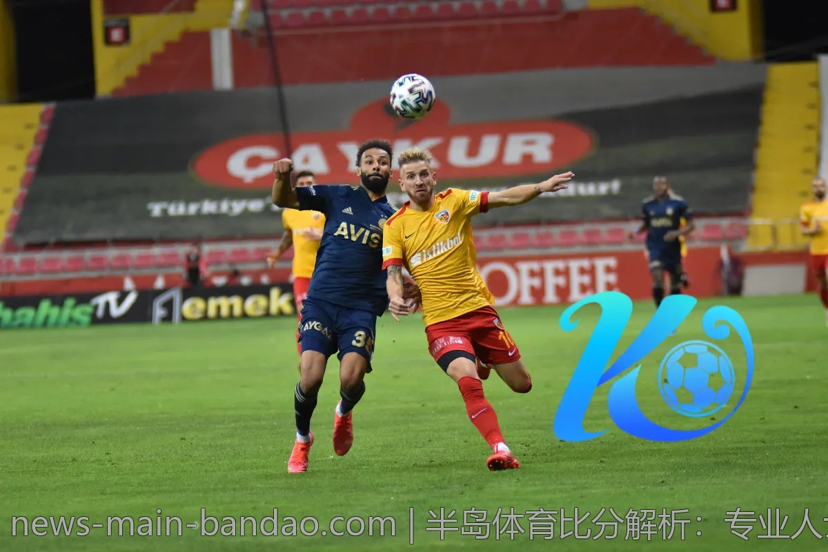 半岛体育比分解析：专业人士教你看懂