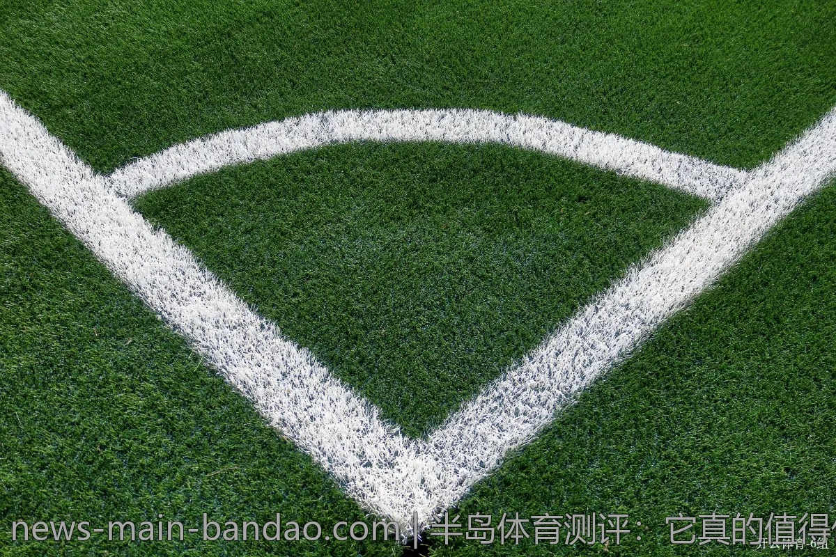 半岛体育测评：它真的值得信赖吗？