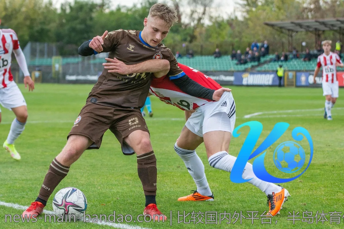 比较国内外平台，半岛体育优劣势全解析