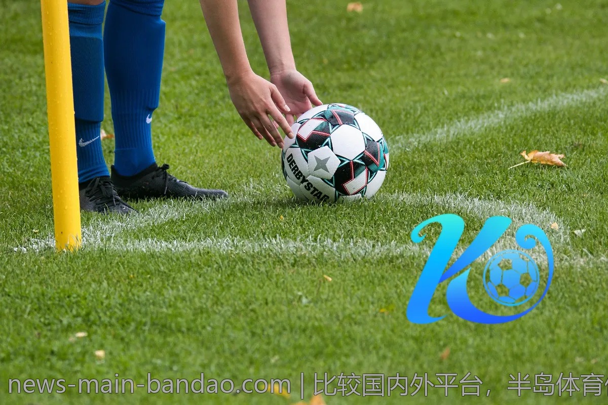 比较国内外平台，半岛体育优劣势全解析