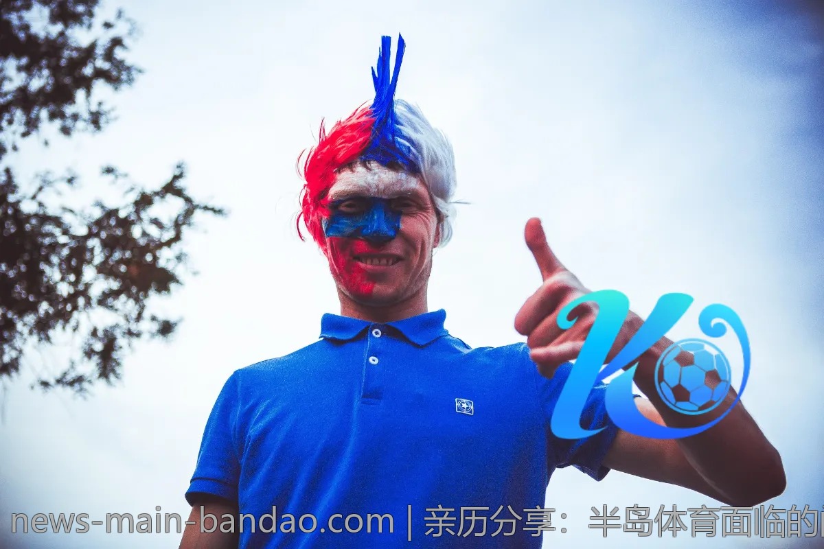 亲历分享：半岛体育面临的问题与解决方式